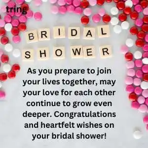 bridal shower wishes (2).png bridal shower wishes (2)