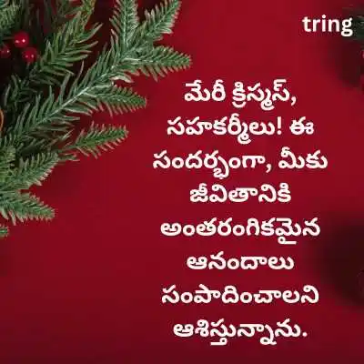 Christmas Wishes in Telugu for Colleagues .png Christmas Wishes in Telugu for Colleagues