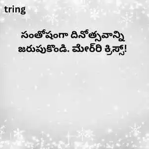 christmas wishes in telugu (9).png christmas wishes in telugu (9)