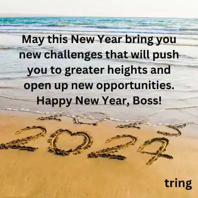 Happy New Year Wishes For Your Boss.png Happy New Year Wishes For Your Boss