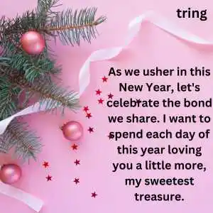 new year wishes for boyfriend (6).png new year wishes for boyfriend (6)