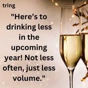 funny new year wishes (9).png funny new year wishes (9)