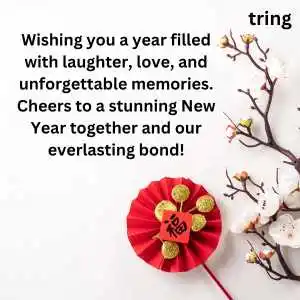 new year wishes for boyfriend (8).png new year wishes for boyfriend (8)