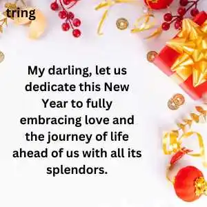 happy new year wishes for girlfriend (10)