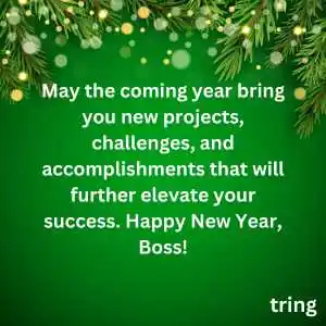 happy new year wishes for boss (2).png happy new year wishes for boss (2)