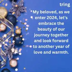 happy new year wishes for girlfriend (3)