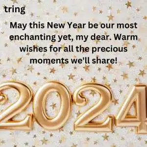 happy new year wishes for girlfriend (9)