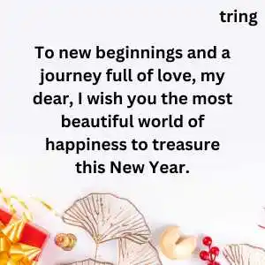 happy new year wishes for girlfriend (1)