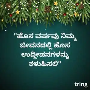 happy new year wishes in kannada (3).png happy new year wishes in kannada (3)
