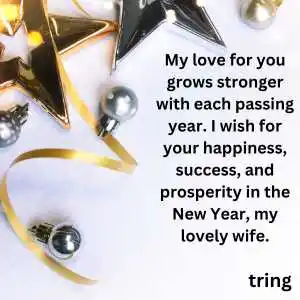 new year wishes for wife (9)