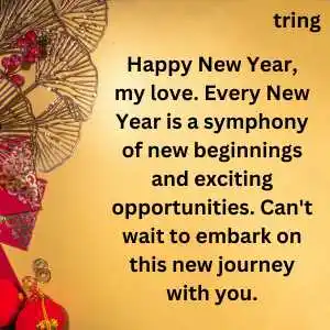 heart touching new year wishes for husband (3).png heart touching new year wishes for husband (3)