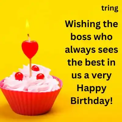 Professional Birthday Wishes For Boss Professional Birthday Wishes For Boss