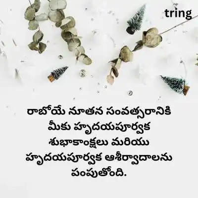New Year Greetings in Telugu.png New Year Greetings in Telugu