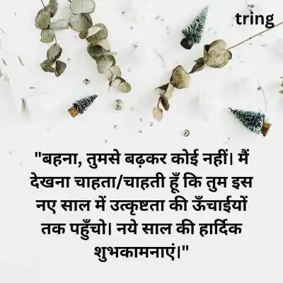 New Year Wishes for Sister in Hindi.png New Year Wishes for Sister in Hindi