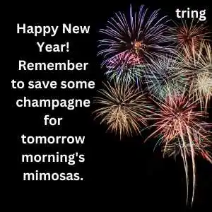 new year wishes for friend  (6).png new year wishes for friend  (6)