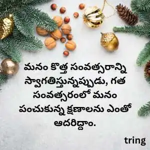 new year wishes in telugu (7).png new year wishes in telugu (7)