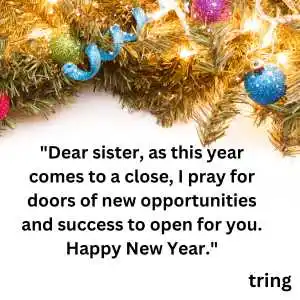 new year wishes for sister (6).png new year wishes for sister (6)