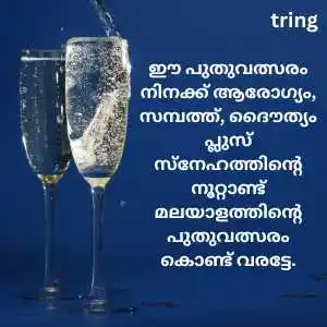 new year wishes in malayalam (2)