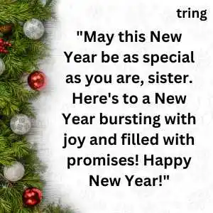 new year wishes for sister (3).png new year wishes for sister (3)