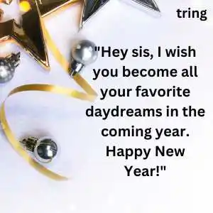 new year wishes for sister (5).png new year wishes for sister (5)