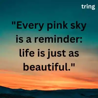 Pink Sky Captions.png Pink Sky Captions