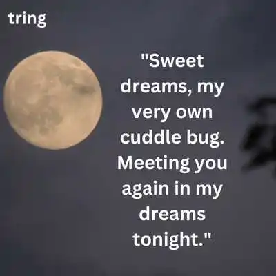 Cute Good Night Messages.png Cute Good Night Messages