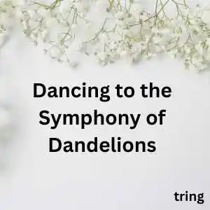 Aesthetic One Word Captions (10).png Aesthetic One Word Captions (10)