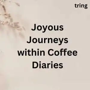 Aesthetic One Word Captions (1).png Aesthetic One Word Captions (1)