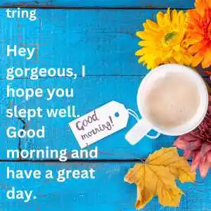 Good Morning Message For Girlfriend (7)