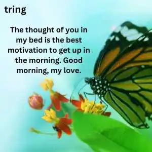 Good Morning Message For Girlfriend (1)