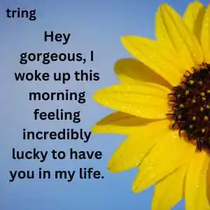 Good Morning Message For Girlfriend (3)