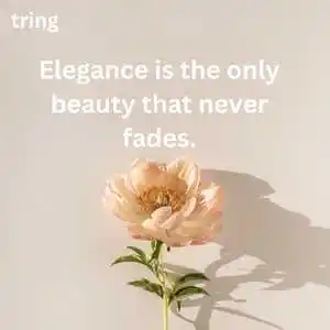 Aesthetic Captions For Instagram (7).png Aesthetic Captions For Instagram (7)