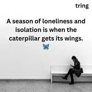 Alone Captions For Instagram (2).png Alone Captions For Instagram (2)