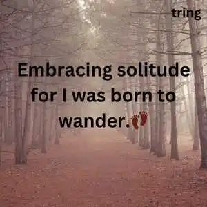 Alone Captions For Instagram (4).png Alone Captions For Instagram (4)