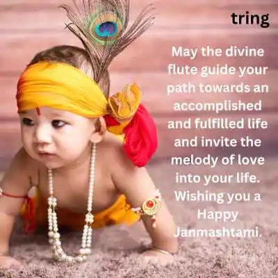 Krishna Janmashtami Wishes .png Krishna Janmashtami Wishes