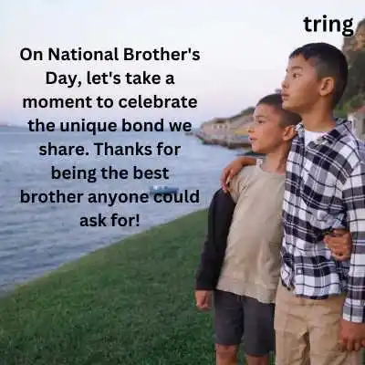 National Brother's Day Wishes For Greeting Card .png National Brother's Day Wishes For Greeting Card