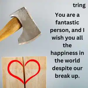 Breakup Wishes (6)