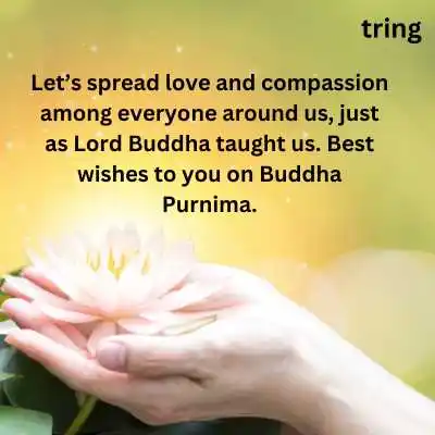 Buddha Purnima Wishes For WhatsApp.png Buddha Purnima Wishes For WhatsApp
