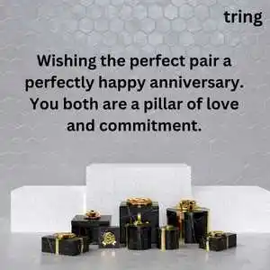 anniversary wishes for uncle and aunty (5).png anniversary wishes for uncle and aunty (5)
