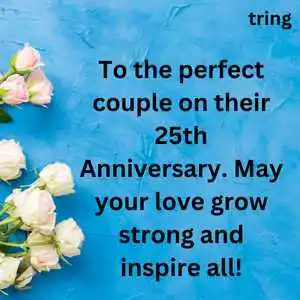 anniversary wishes for uncle and aunty (9).png anniversary wishes for uncle and aunty (9)
