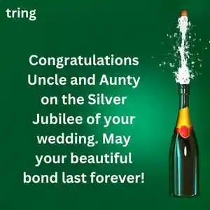 anniversary wishes for uncle and aunty (10).png anniversary wishes for uncle and aunty (10)