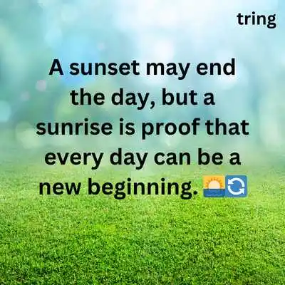 Sunrise Captions for Instagram.png Sunrise Captions for Instagram