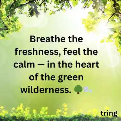 Green Nature Captions for Instagram.png Green Nature Captions for Instagram