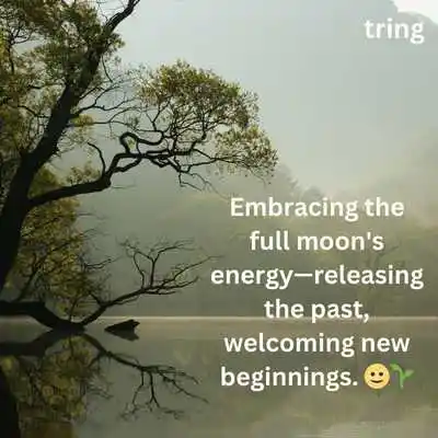 Full Moon Instagram Captions.png Full Moon Instagram Captions