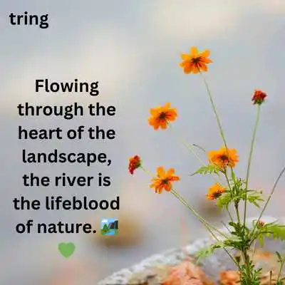 River Captions for Instagram.png River Captions for Instagram