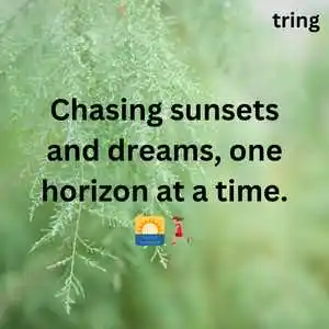 Nature Captions For Instagram (1).png Nature Captions For Instagram (1)