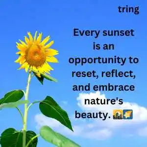 Nature Captions For Instagram (8).png Nature Captions For Instagram (8)