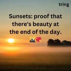 Nature Captions For Instagram (2).png Nature Captions For Instagram (2)