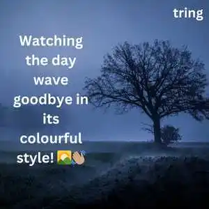 Nature Captions For Instagram (3).png Nature Captions For Instagram (3)