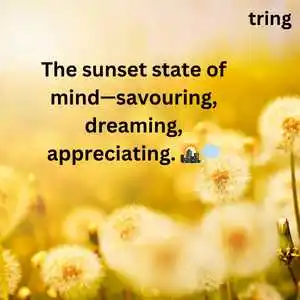 Nature Captions For Instagram (4).png Nature Captions For Instagram (4)